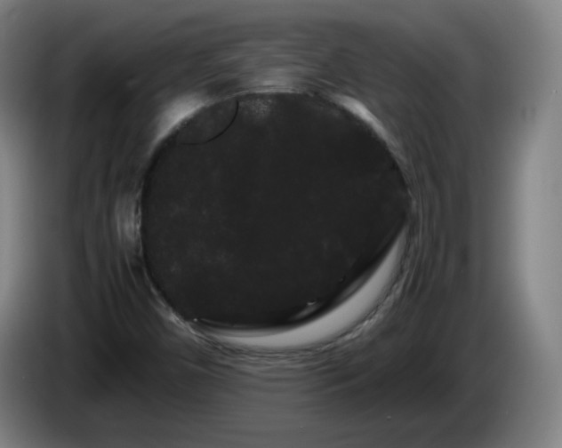 X0000086091450200703301140