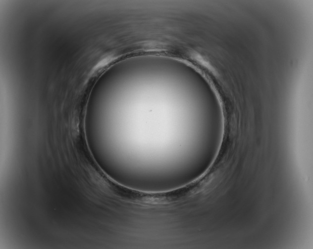 X0000086091451200703301140