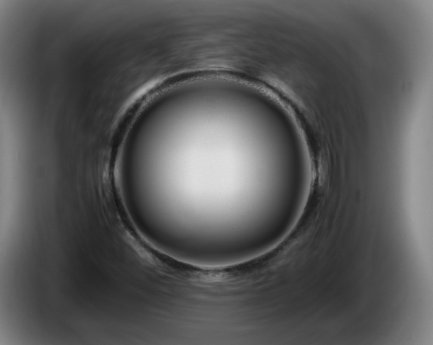 X0000086091452200703301140