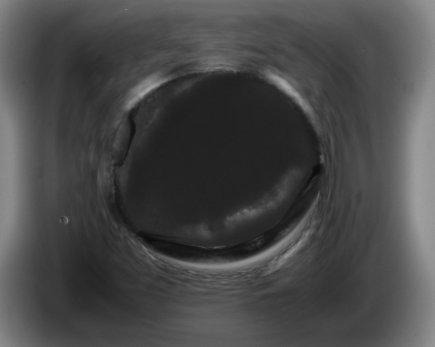 X0000086091453200703301140