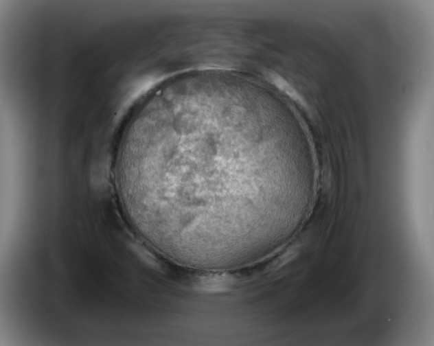 X0000086091454200703301140