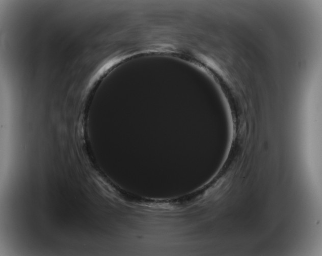 X0000086091455200703301140