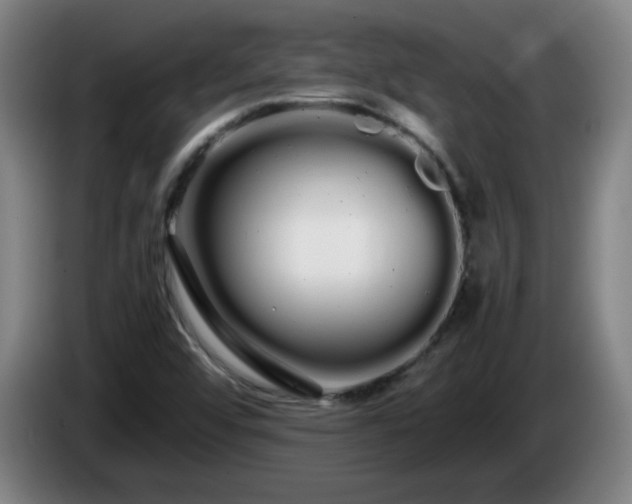 X0000086091456200703301140