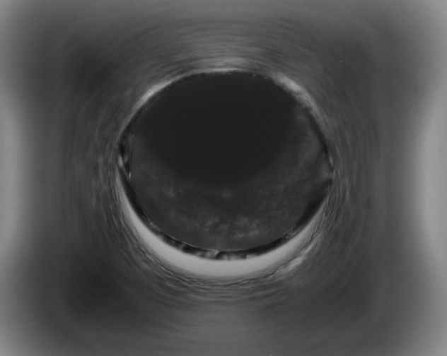 X0000086091457200703301140