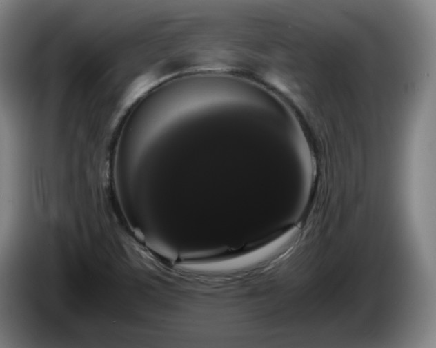 X0000086091459200703301140