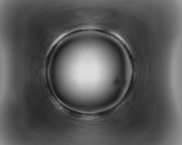 X0000086091460200703301140