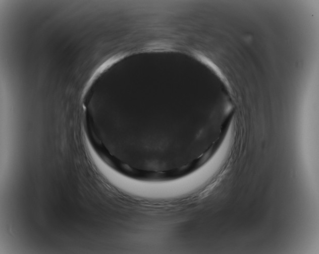 X0000086091461200703301140