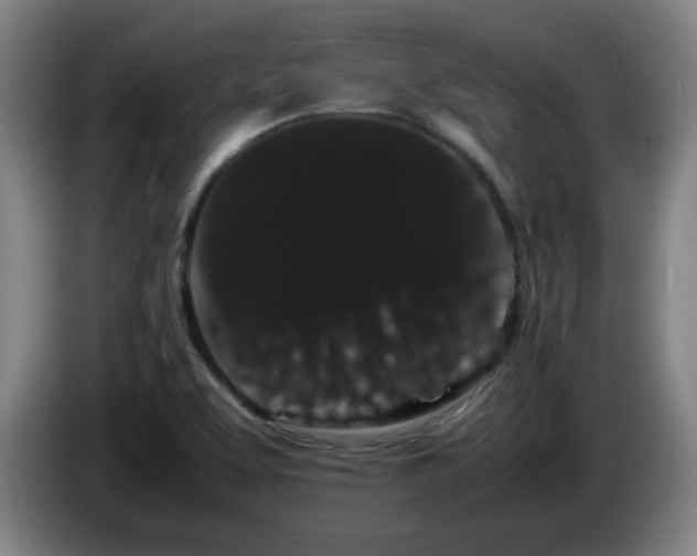 X0000086091463200703301140