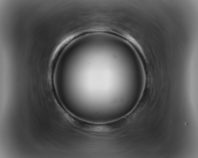 X0000086091464200703301140