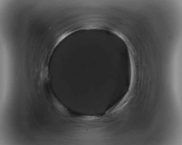 X0000086091465200703301140