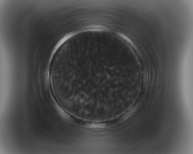 X0000086091466200703301140