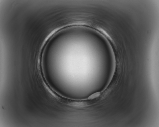 X0000086091468200703301140