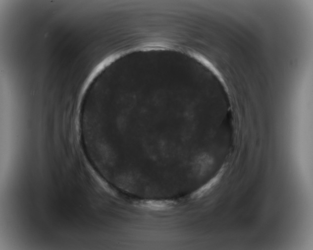 X0000086091469200703301140