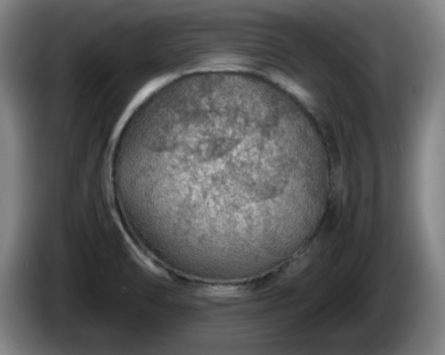 X0000086091470200703301140