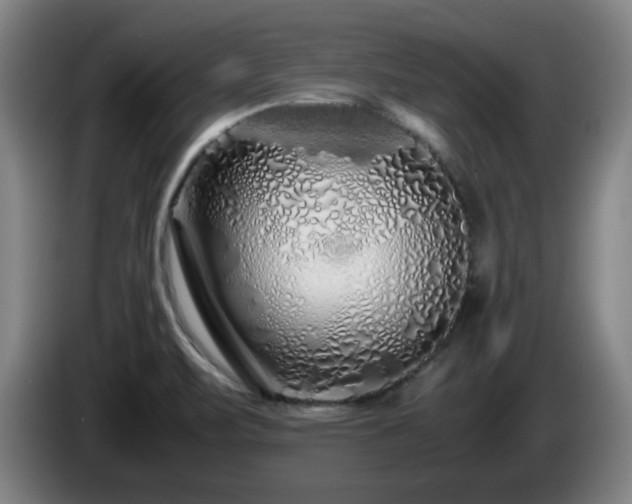 X0000086091471200703301140