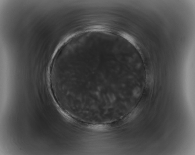 X0000086091474200703301140