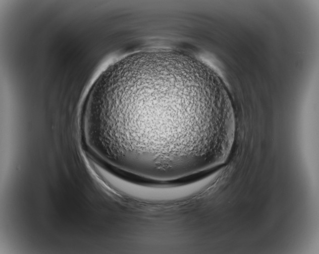 X0000086091475200703301140