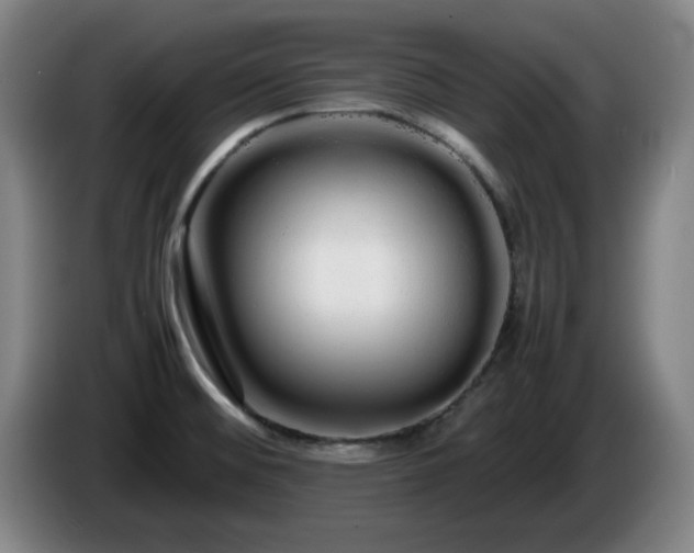 X0000086091476200703301140