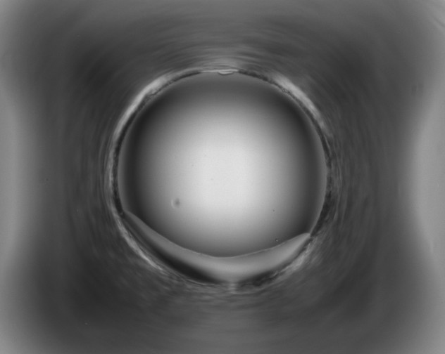 X0000086091477200703301140