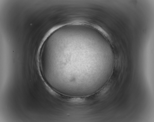 X0000086091478200703301140