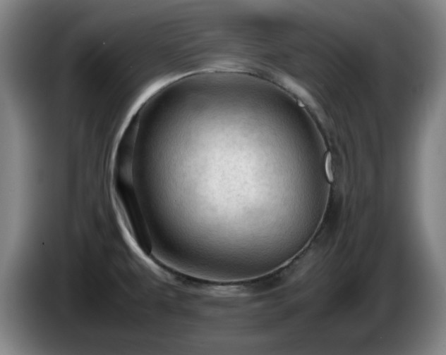 X0000086091479200703301140