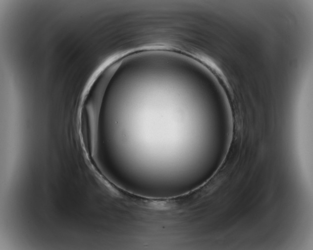 X0000086091480200703301140