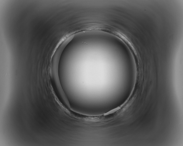 X0000086091481200703301140