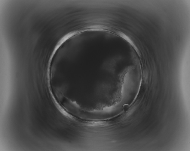 X0000086091482200703301140