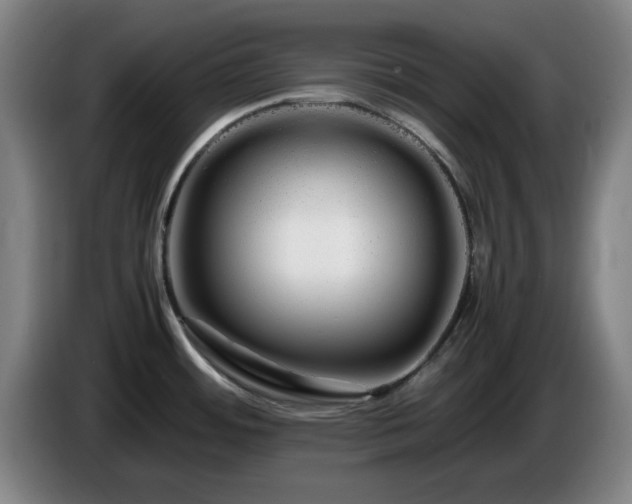 X0000086091484200703301140