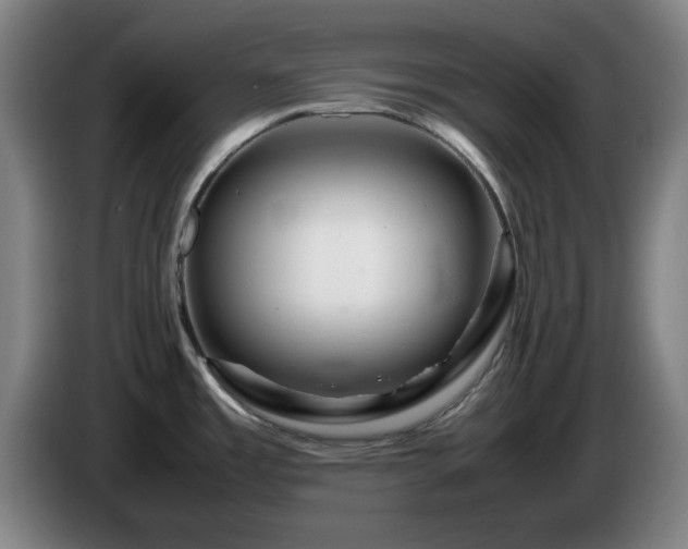 X0000086091485200703301140