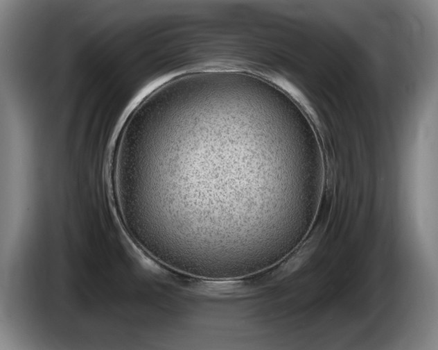 X0000086091486200703301140