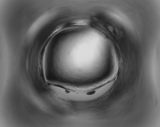 X0000086091487200703301140