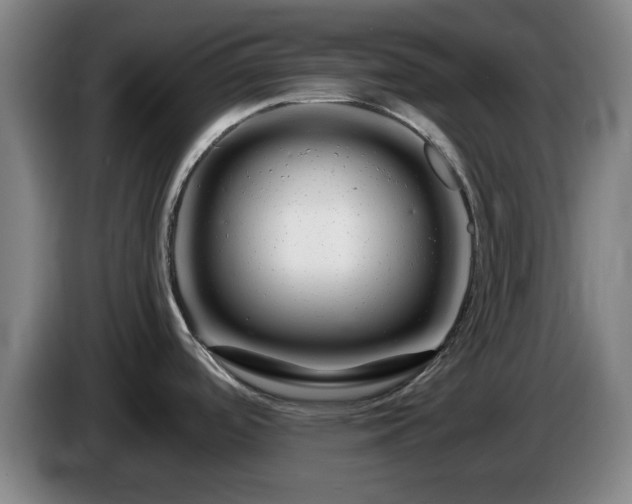 X0000086091488200703301140