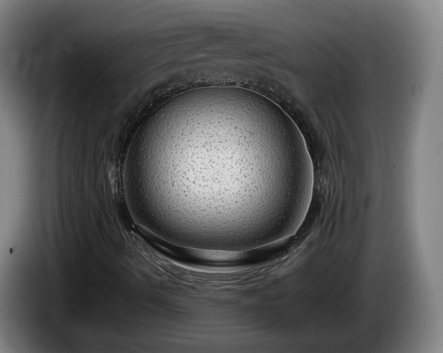 X0000086091490200703301139