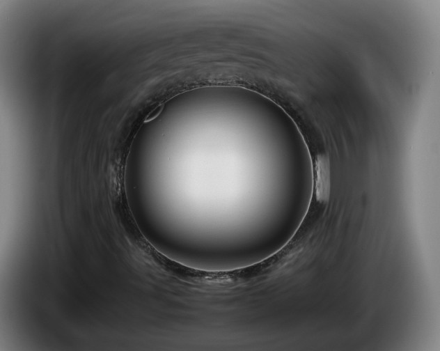 X0000086091491200703301139