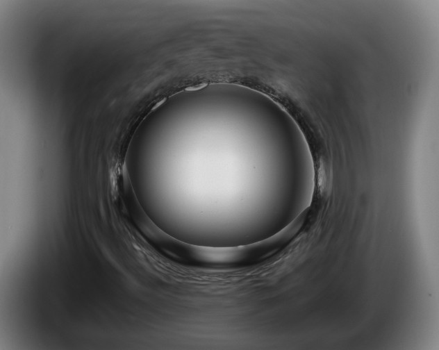 X0000086091492200703301139