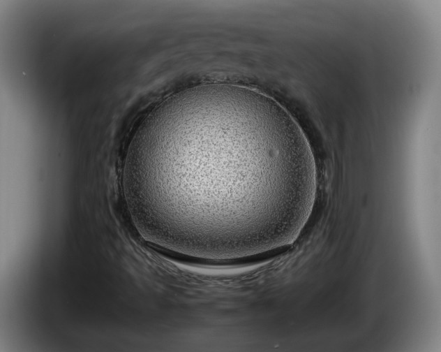 X0000086091493200703301139