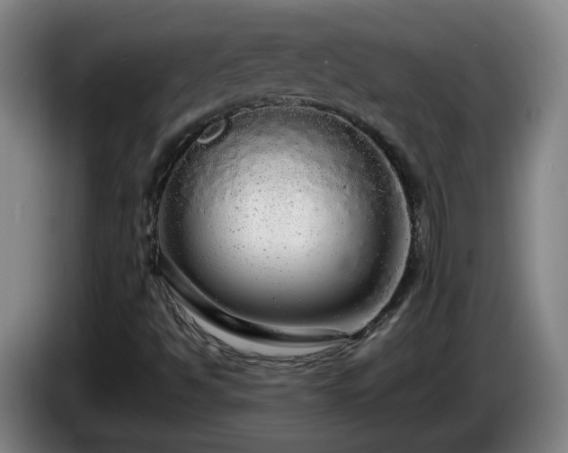 X0000086091494200703301139