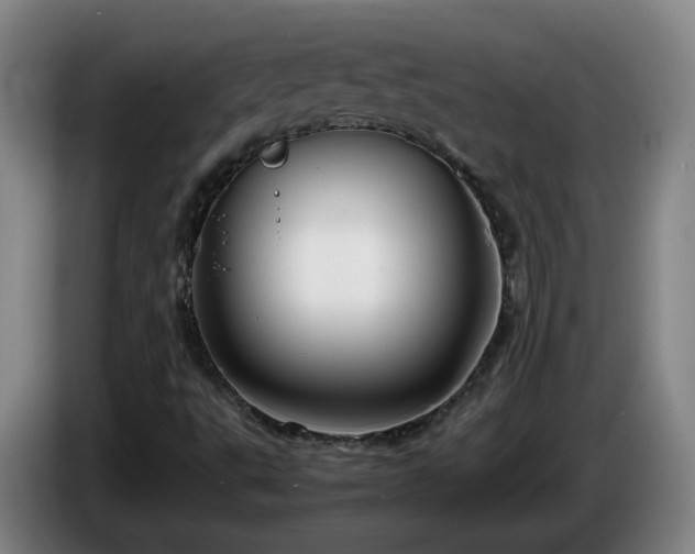 X0000086091495200703301139