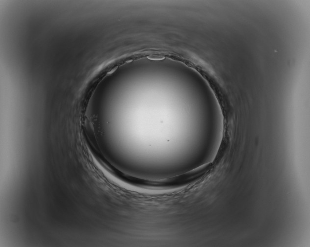 X0000086091496200703301139