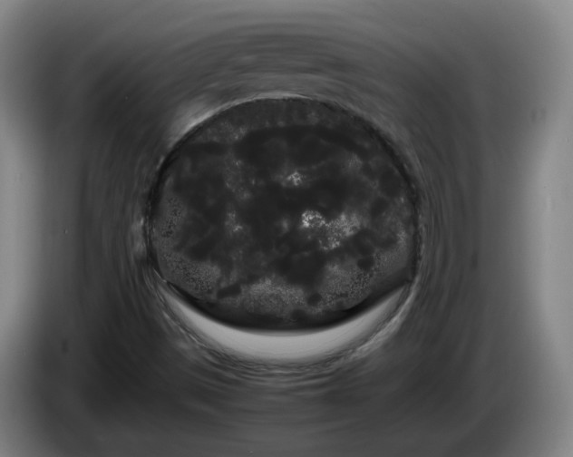 X0000086091497200703301139