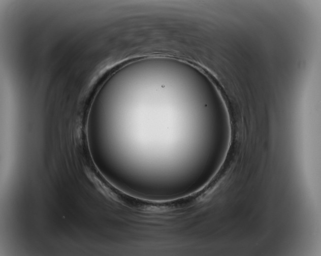 X0000086091499200703301139