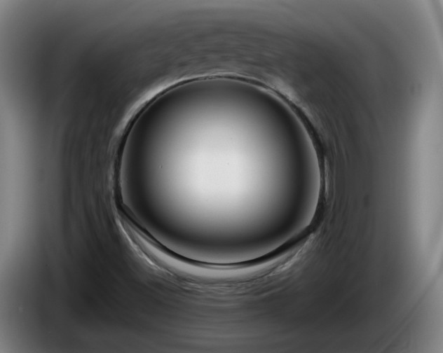 X0000086091500200703301139