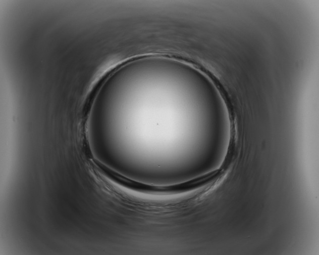 X0000086091501200703301139