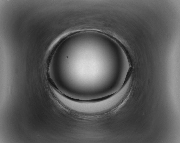 X0000086091502200703301139