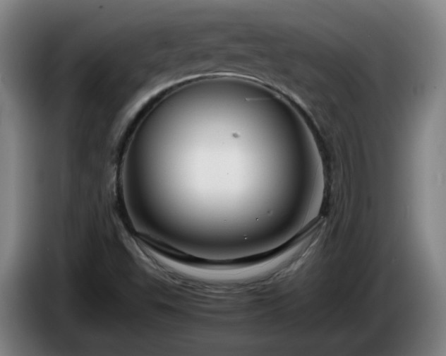 X0000086091503200703301139