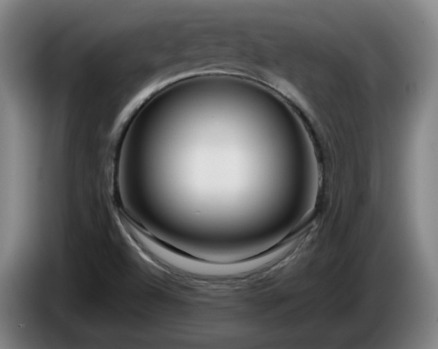 X0000086091504200703301139