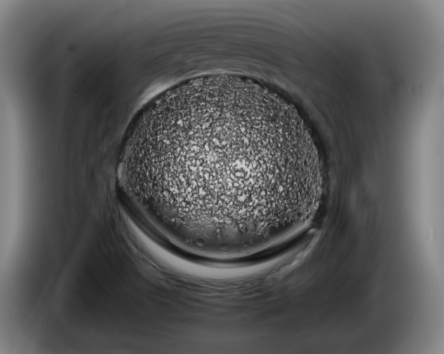 X0000086091505200703301139