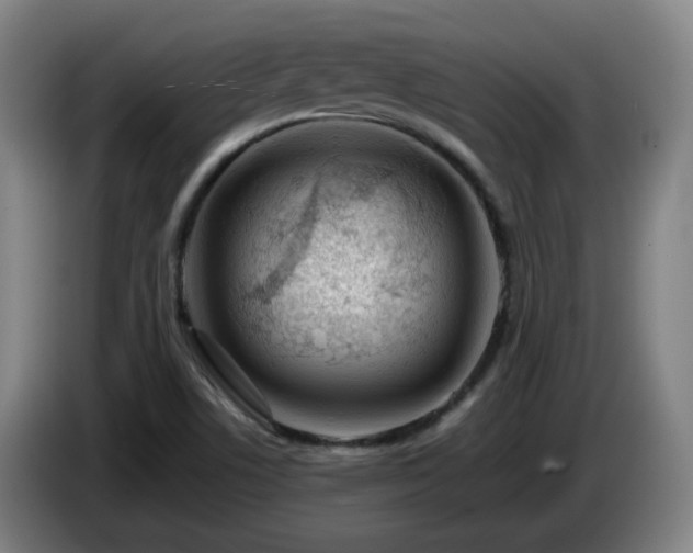 X0000086091506200703301139