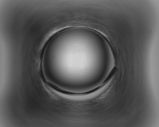 X0000086091507200703301139